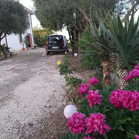 La Celeste A -vi - Italia Montegaldella