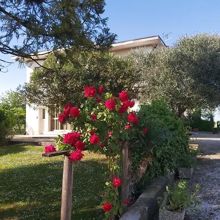 La Celeste A -vi - Italia Montegaldella