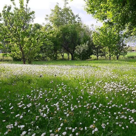 Апартаменты La Celeste A -vi - Italia