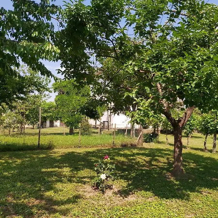 Апартаменты La Celeste A -vi - Italia