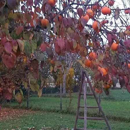 La Celeste A -vi - Italia Апартаменты