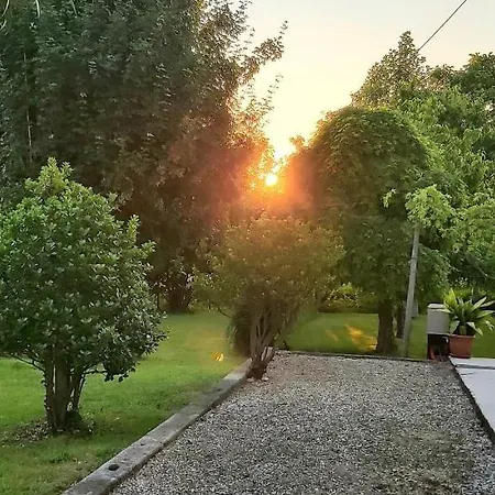 La Celeste A -vi - Italia Montegaldella