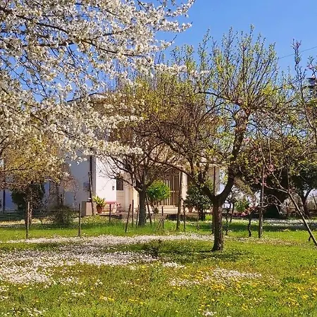 La Celeste A -vi - Italia Апартаменты *