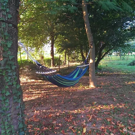 La Celeste A -vi - Italia Апартаменты Montegaldella