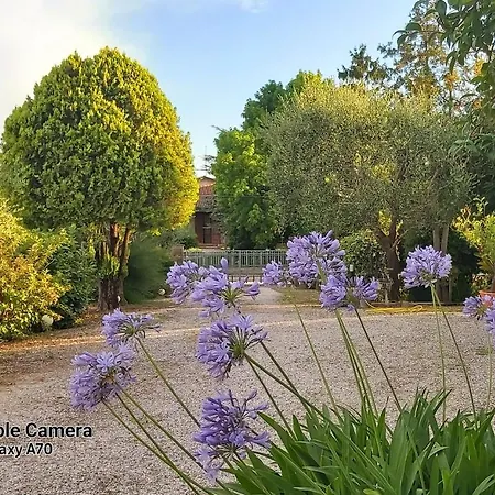La Celeste A -vi - Italia * Montegaldella